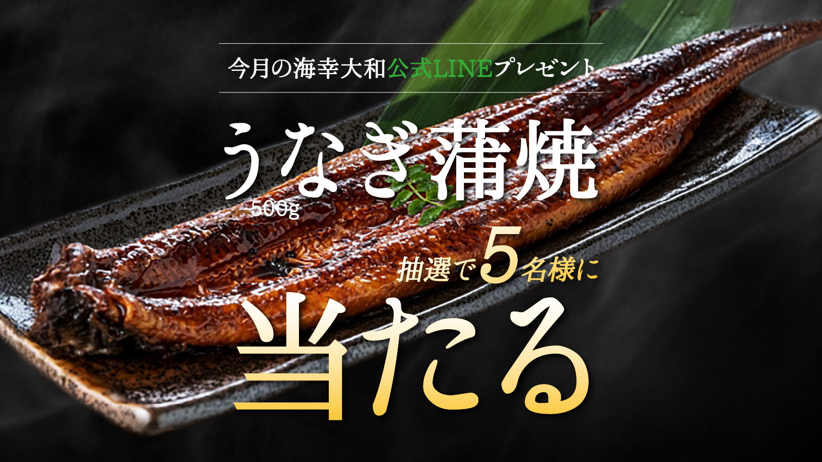 海幸大和の画像<br />
<b>Warning</b>:  Undefined variable $i in <b>/home/xs076983/kaikou-yamato.com/public_html/wp-content/themes/kaikou-yamato/index.php</b> on line <b>13</b><br />
