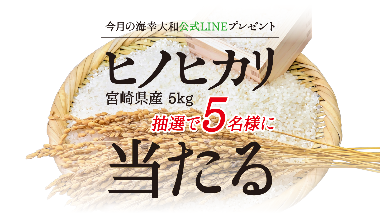 海幸大和の画像<br />
<b>Warning</b>:  Undefined variable $i in <b>/home/xs076983/kaikou-yamato.com/public_html/wp-content/themes/kaikou-yamato/index.php</b> on line <b>13</b><br />
